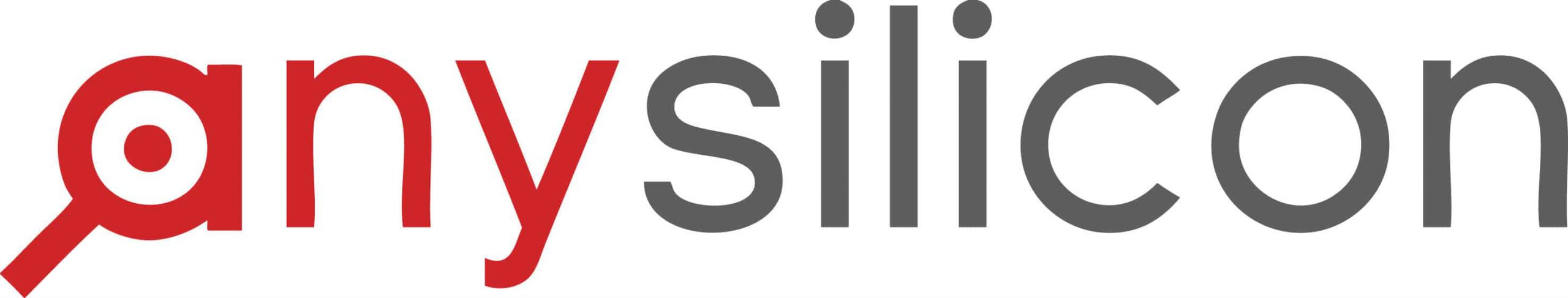 ANY SILICON logo